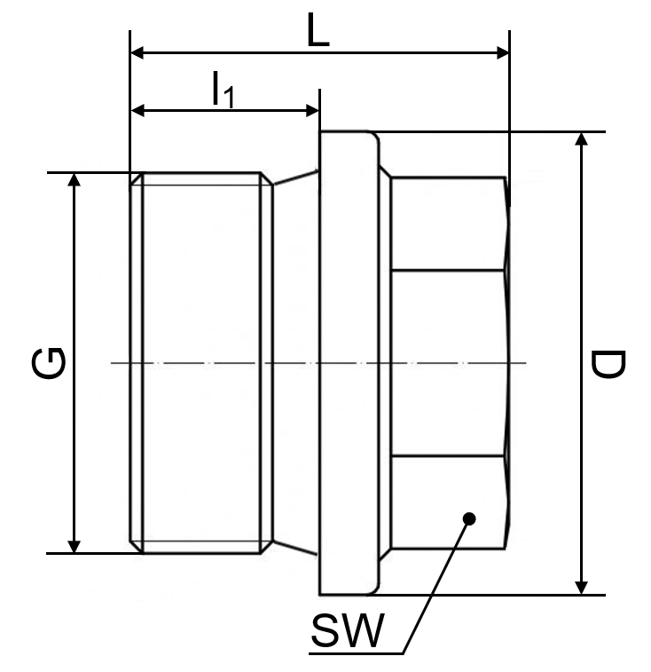 Verschlussschraube DIN 910 1.4408 1"