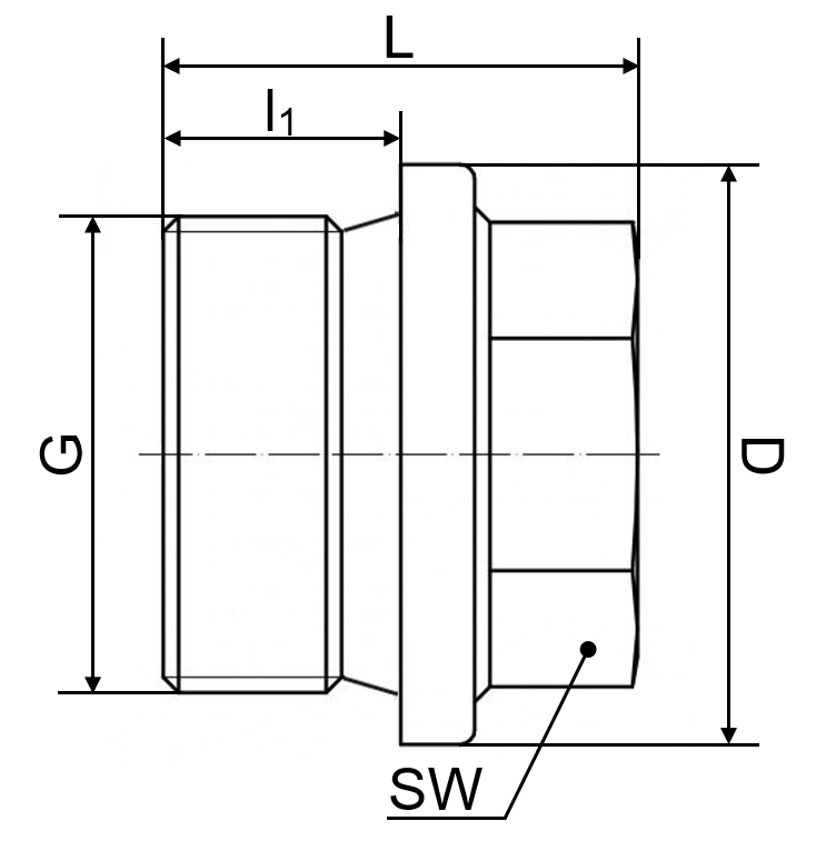 Verschlussschraube DIN 910 1.4408 1/8" 